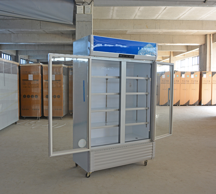 110V/60HZ Voltagem Caixa de visualização de bebidas refrigeradas comerciais com refrigerante R290a