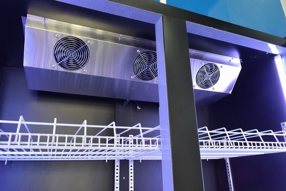 Frigorífico vertical sem geada de duas portas personalizado de cor roxa clara