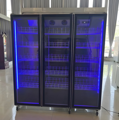 Frigorífico de capacidade de temperatura única ou de visualização de vinho personalizado com iluminação LED