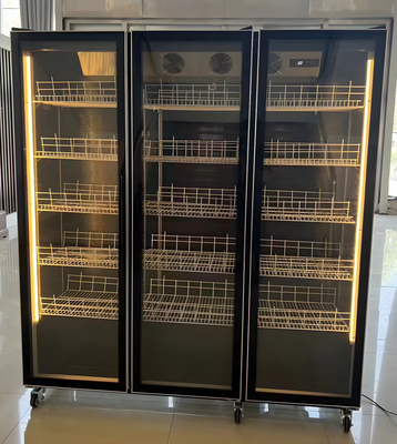 Frigorífico de capacidade de temperatura única ou de visualização de vinho personalizado com iluminação LED