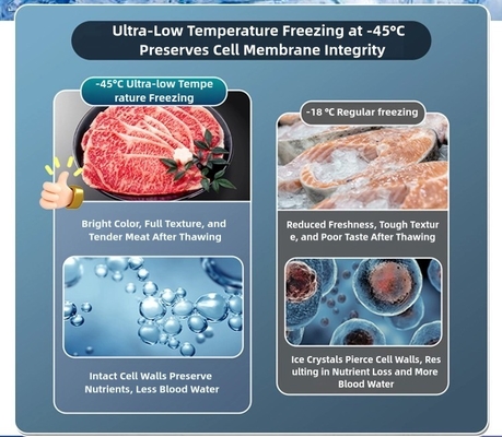 8.5-10cm camada de espuma congelador de caixa ultra-baixo para armazenamento de frutos do mar de grande capacidade -60°C