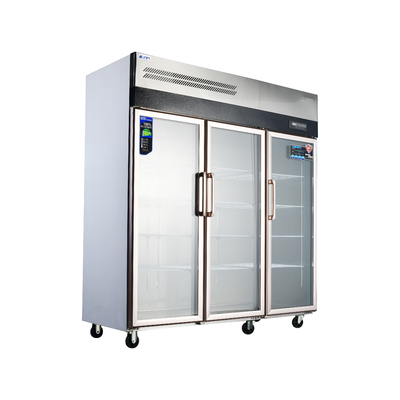 Frigorífico vertical de cozinha de aço inoxidável 304/201 com vitrine de vidro comercial