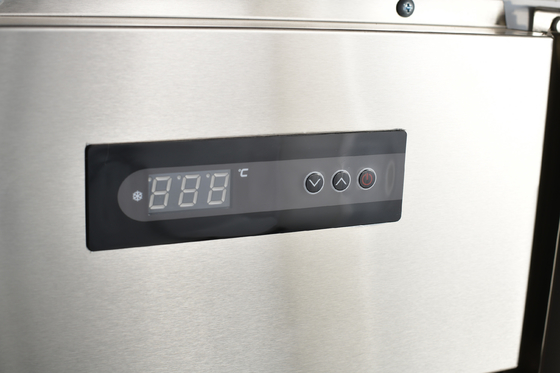 Refrigerador de dois portões de aço inoxidável de 110V/60HZ para refrigeração de cozinhas comerciais